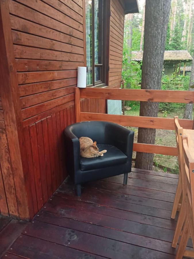 Chatka Nad Swidrem Mladz Exteriör bild